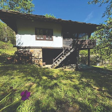 Guest House Cana Mihova Боженціте Екстер'єр фото